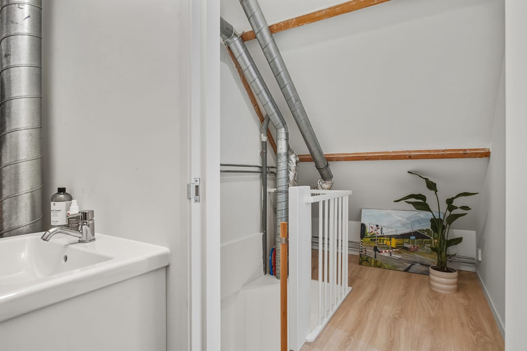 Photo 23 of Plein Vogelzang 19