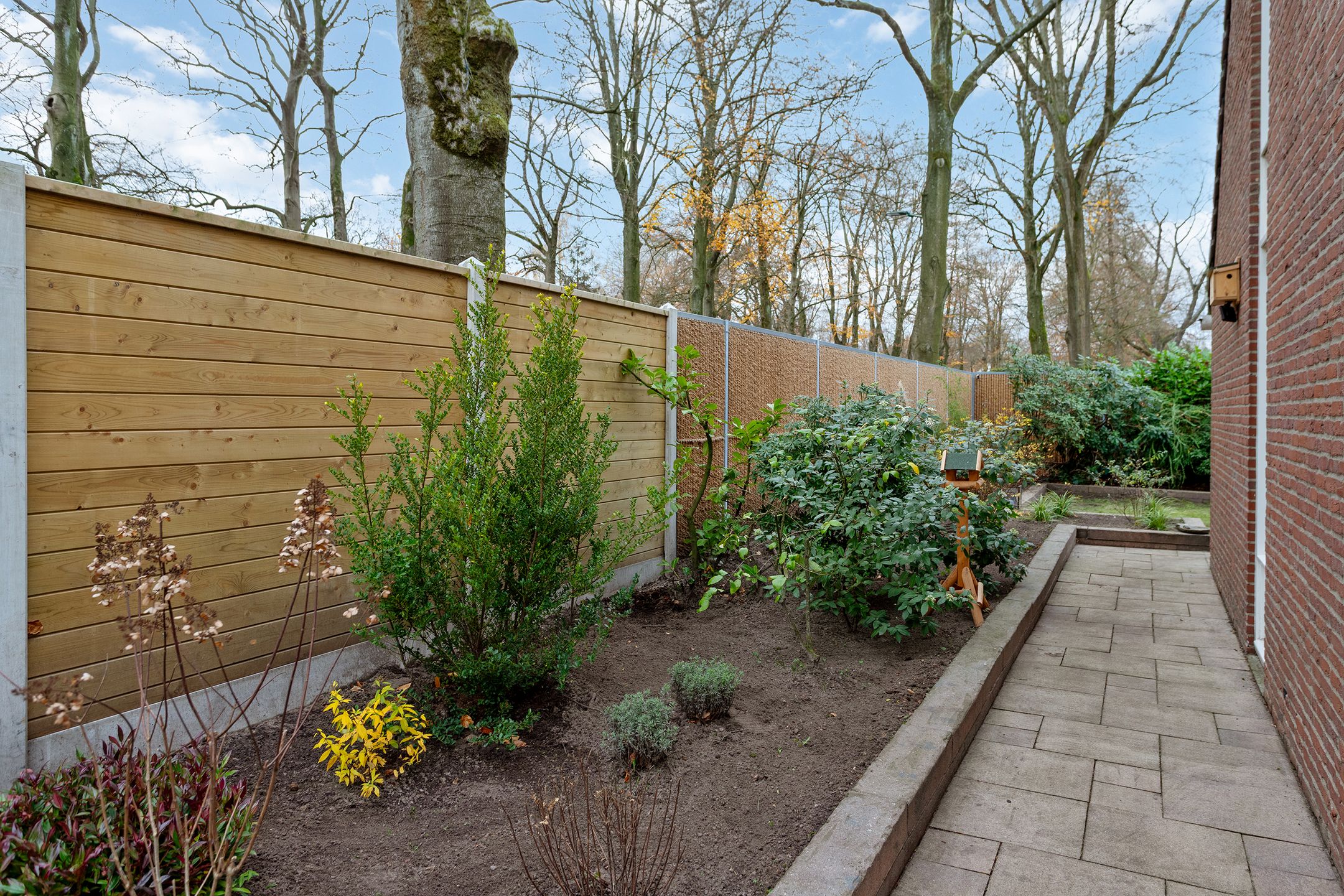 Photo 36 of Plein Vogelzang 19