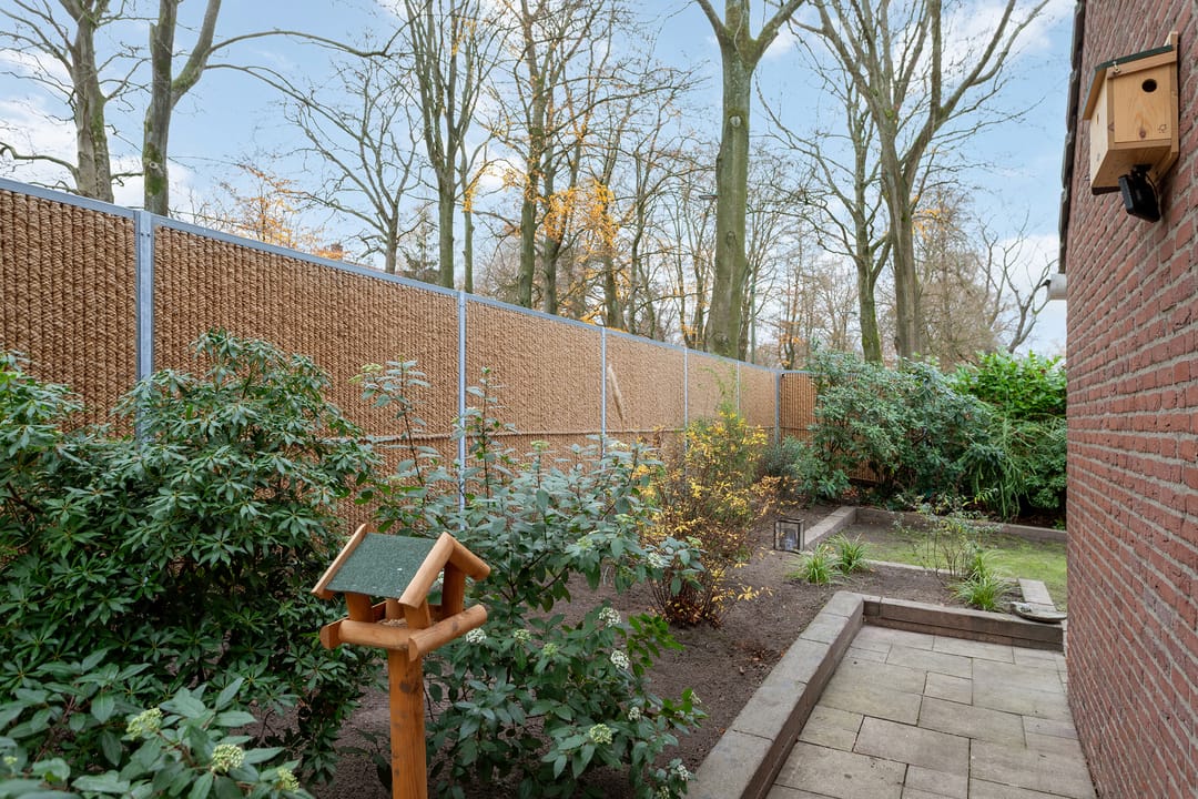 Photo 37 of Plein Vogelzang 19