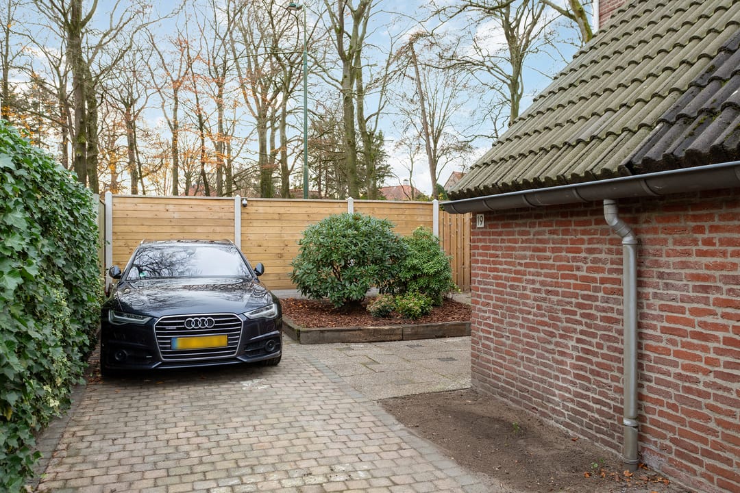 Photo 38 of Plein Vogelzang 19