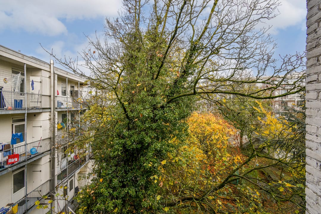 Photo 13 of Houtrijkstraat 338