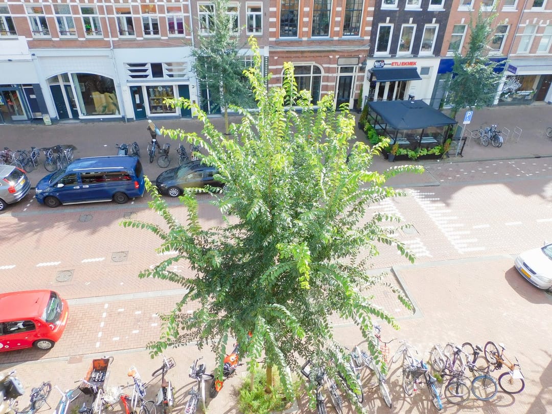 Photo 26 of Eerste Van Swindenstraat 173