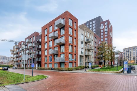 undefined main image