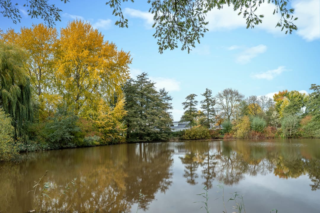 Photo 56 of Herinkhave 10