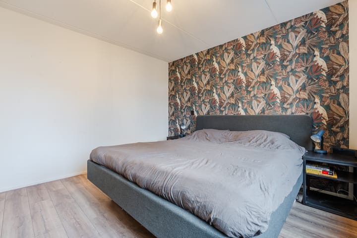 Photo 15 of Woltingepad 29