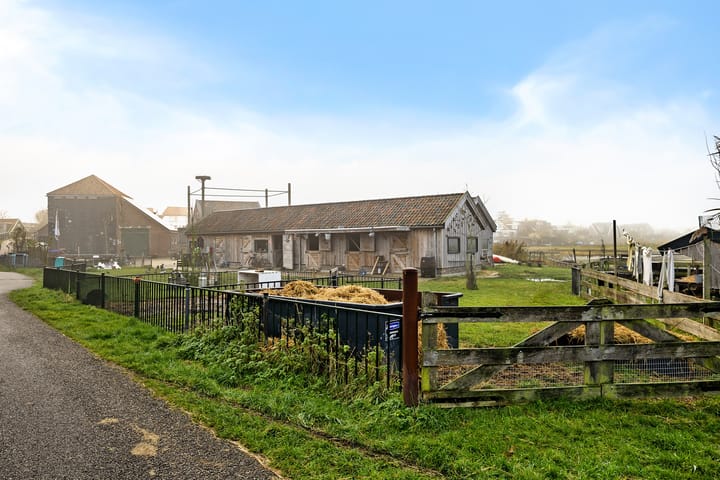 Foto 45 van De Tribune 10