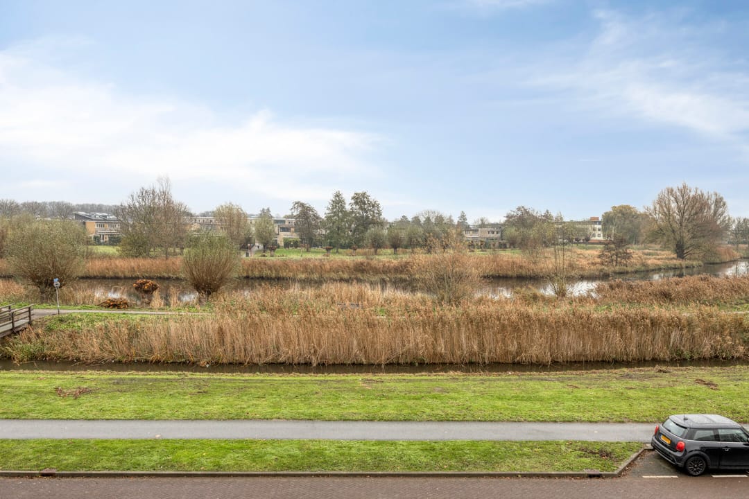 Foto 31 van Boezemsingel 6