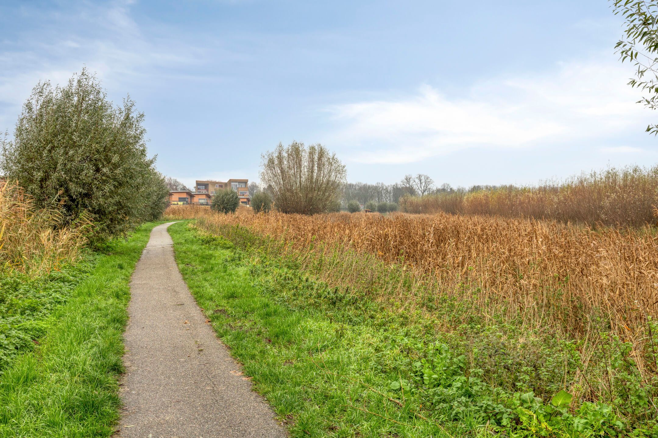 Foto 33 van Boezemsingel 6