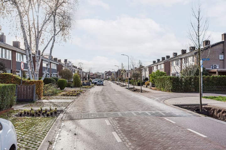 Photo 47 of Allee 52