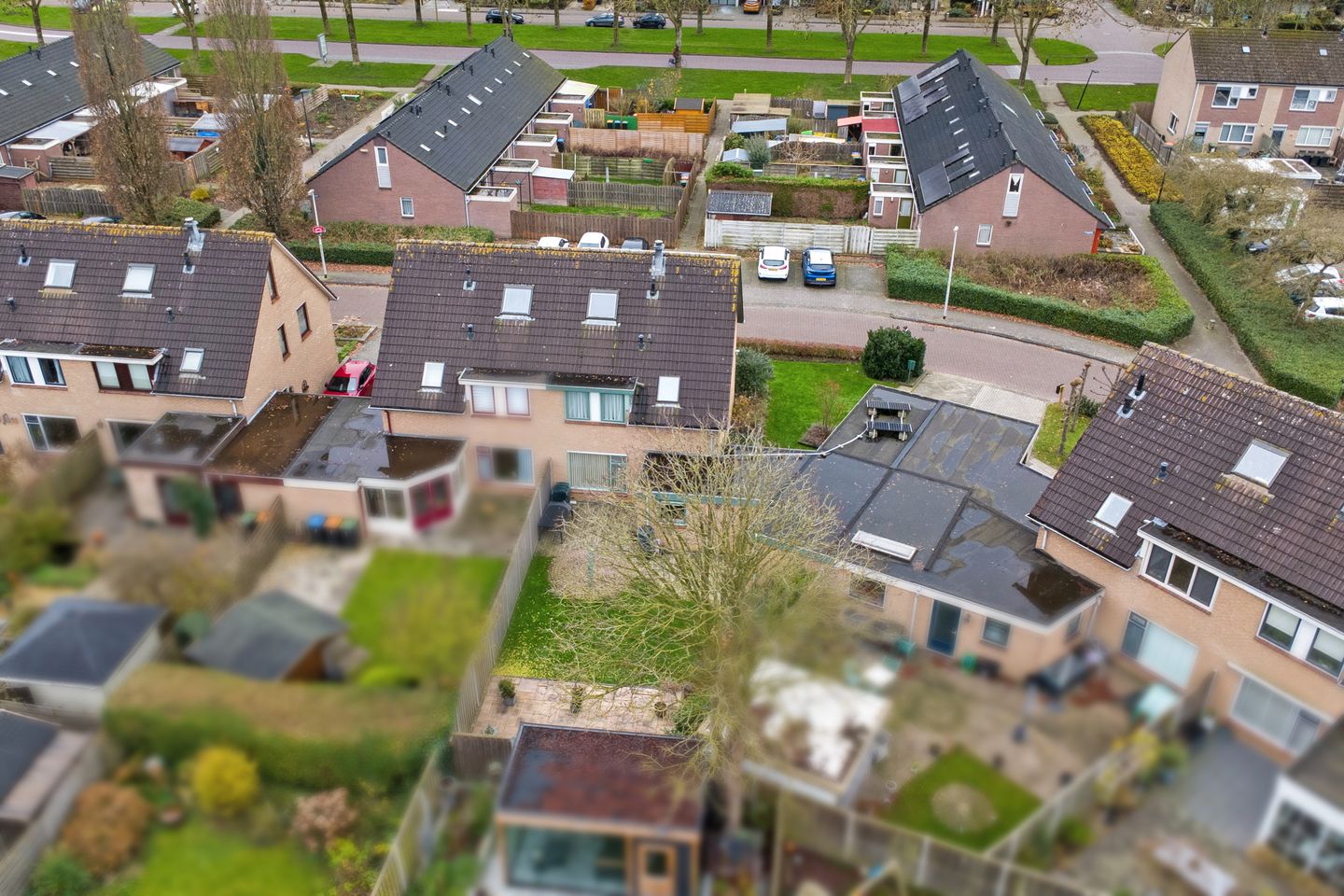 Foto 35 van De Zaaiviool 5