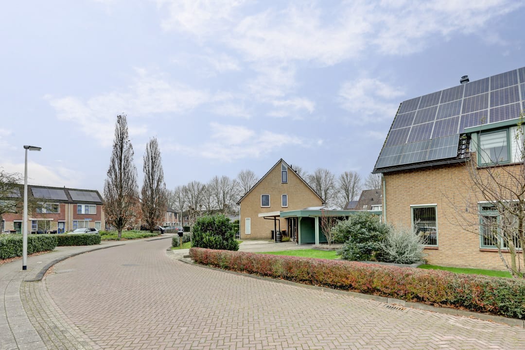 Foto 41 van De Zaaiviool 5