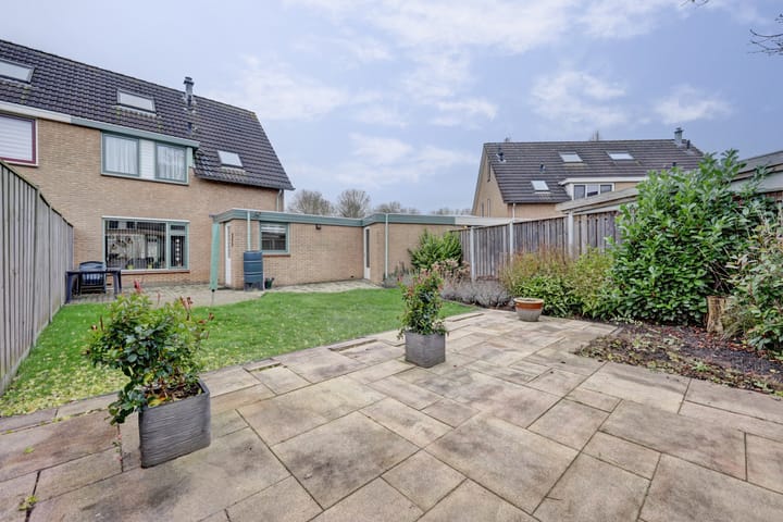 Foto 2 van De Zaaiviool 5