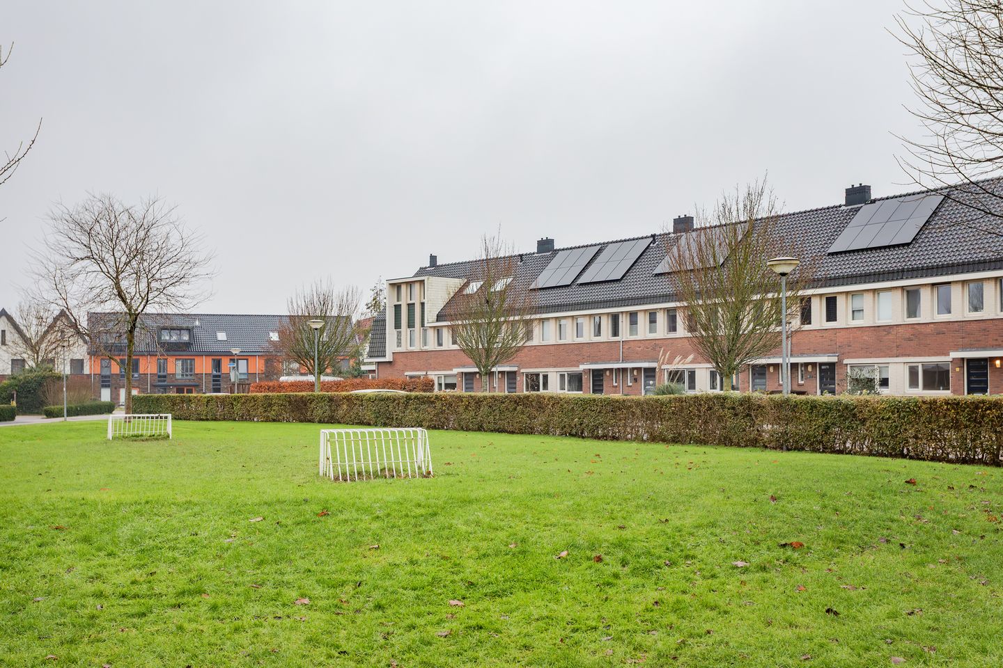 Foto 25 van Juttepeer 7