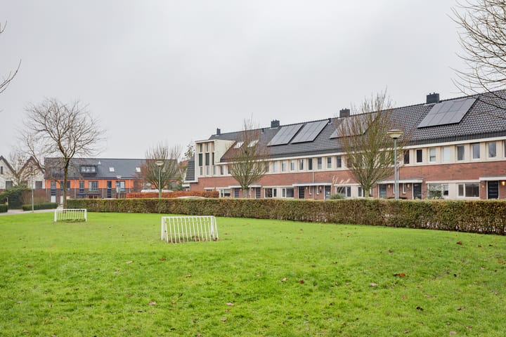 Foto 25 van Juttepeer 7