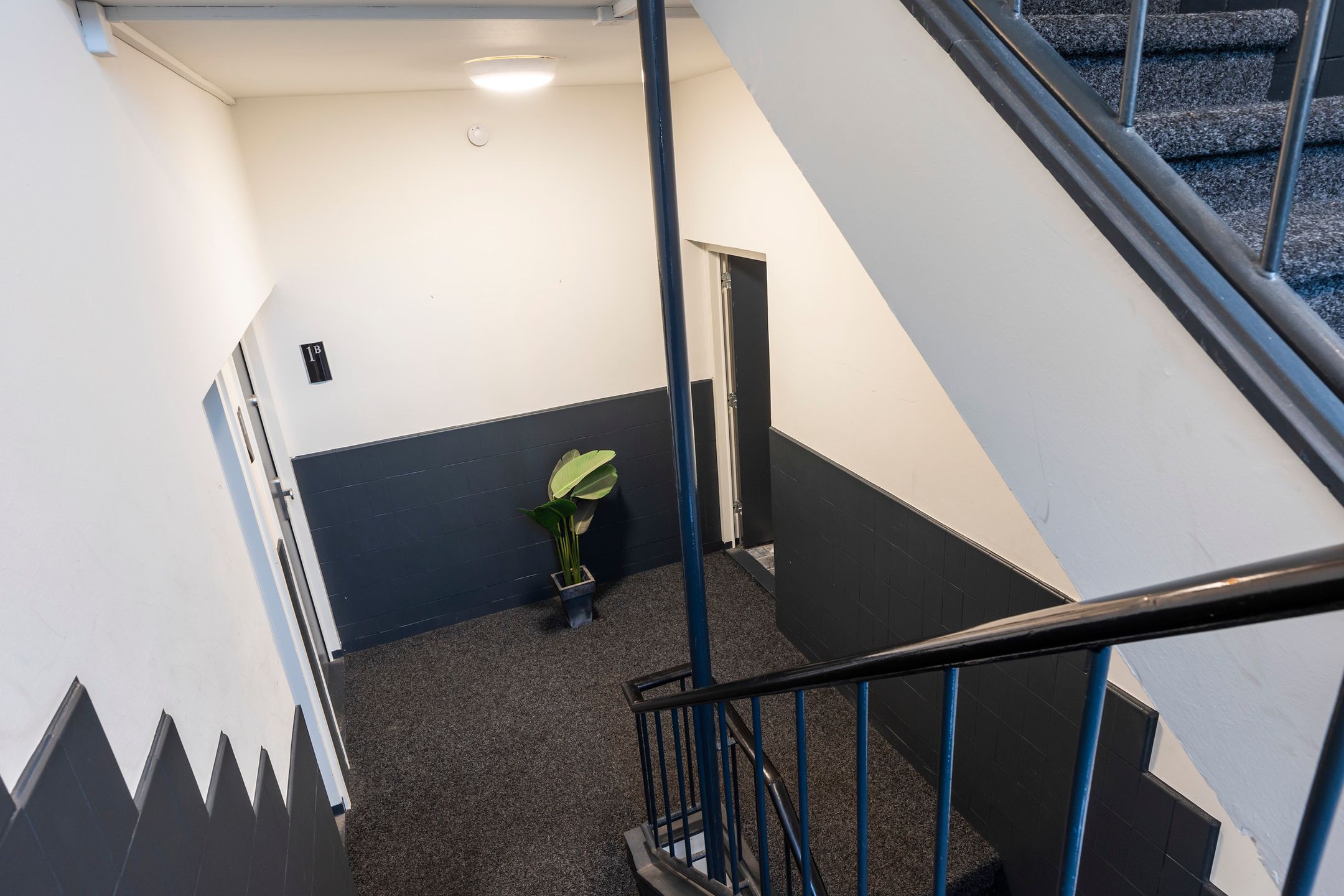 Foto 33 van Hofstraat 3-A