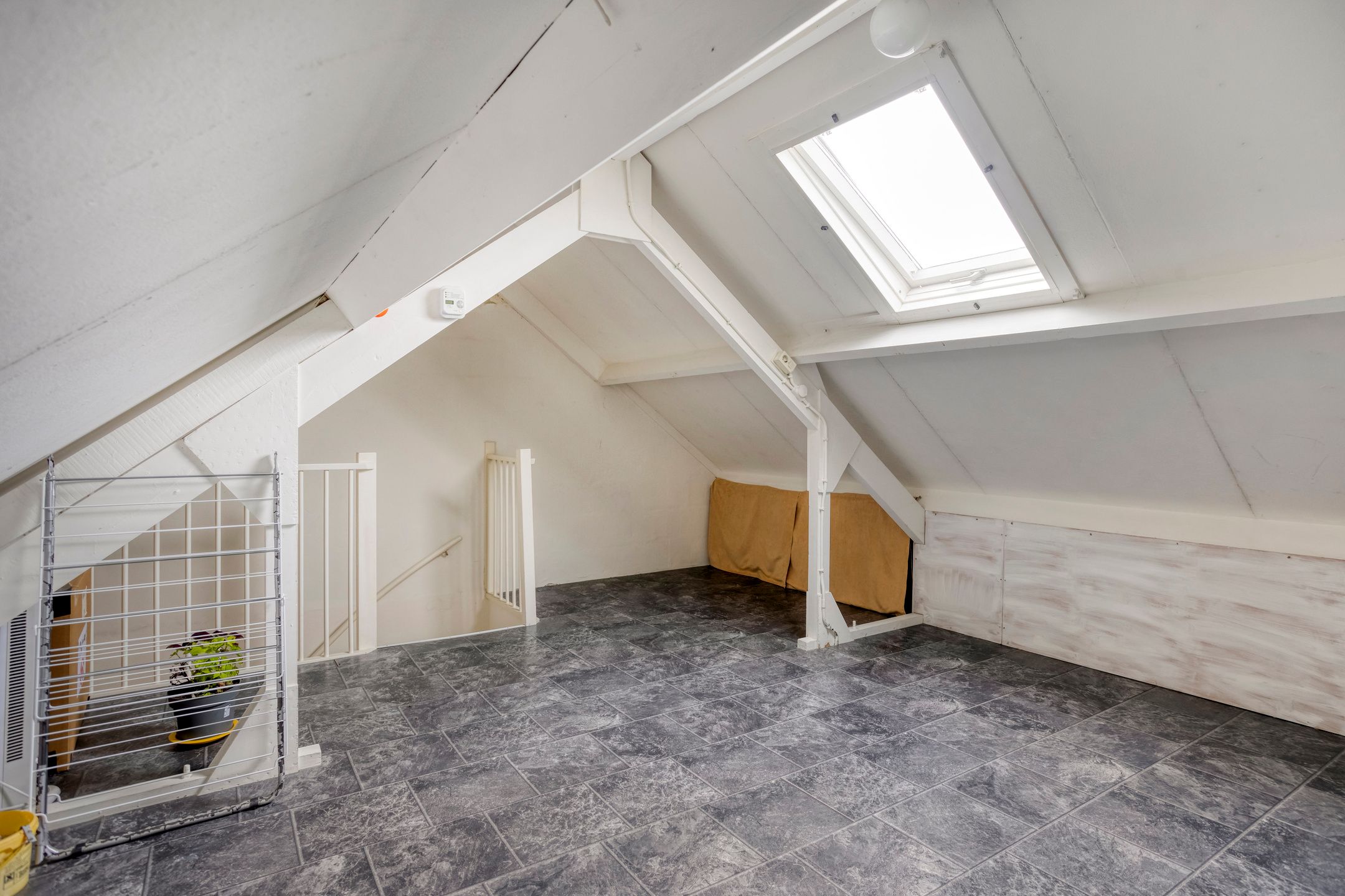 Foto 27 van Calluna 20