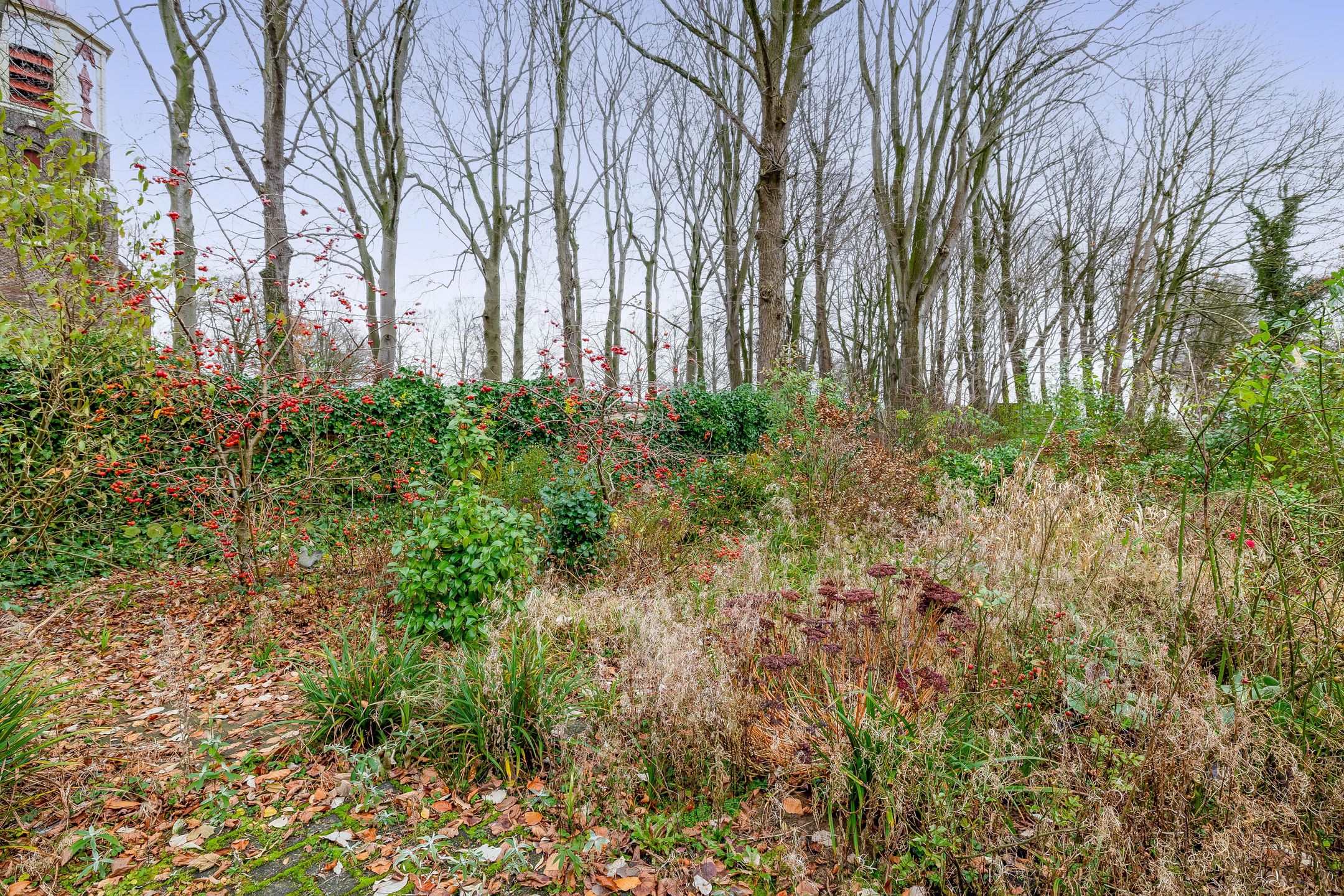 Foto 39 van Hoofdweg 164