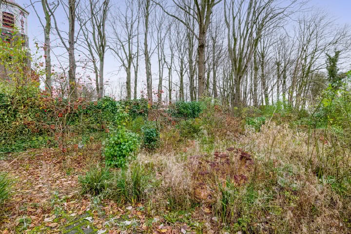 Photo 39 of Hoofdweg 164