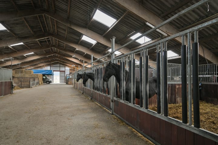 Foto 17 van Jaachpaad 1