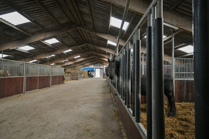 Foto 18 van Jaachpaad 1