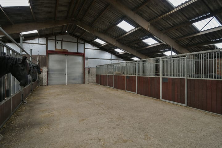 Foto 19 van Jaachpaad 1