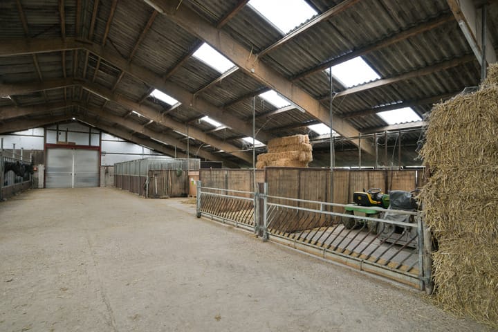 Foto 20 van Jaachpaad 1