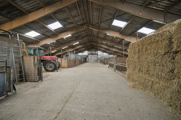 Foto 22 van Jaachpaad 1