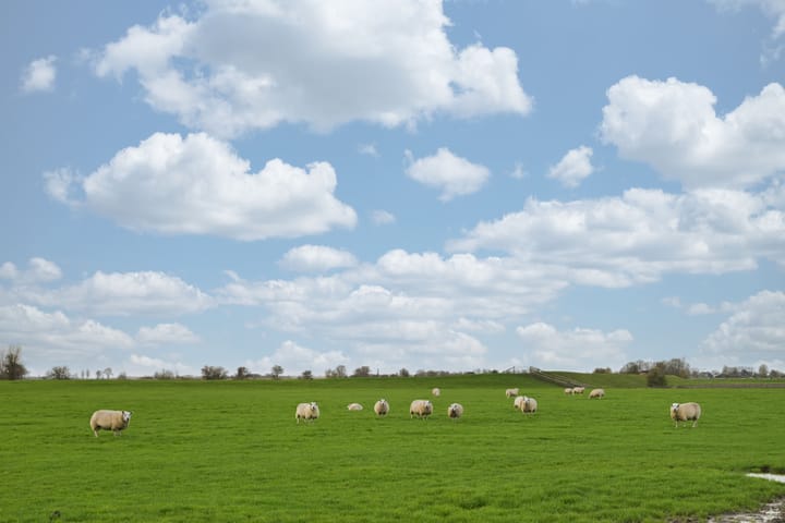 Foto 23 van Jaachpaad 1