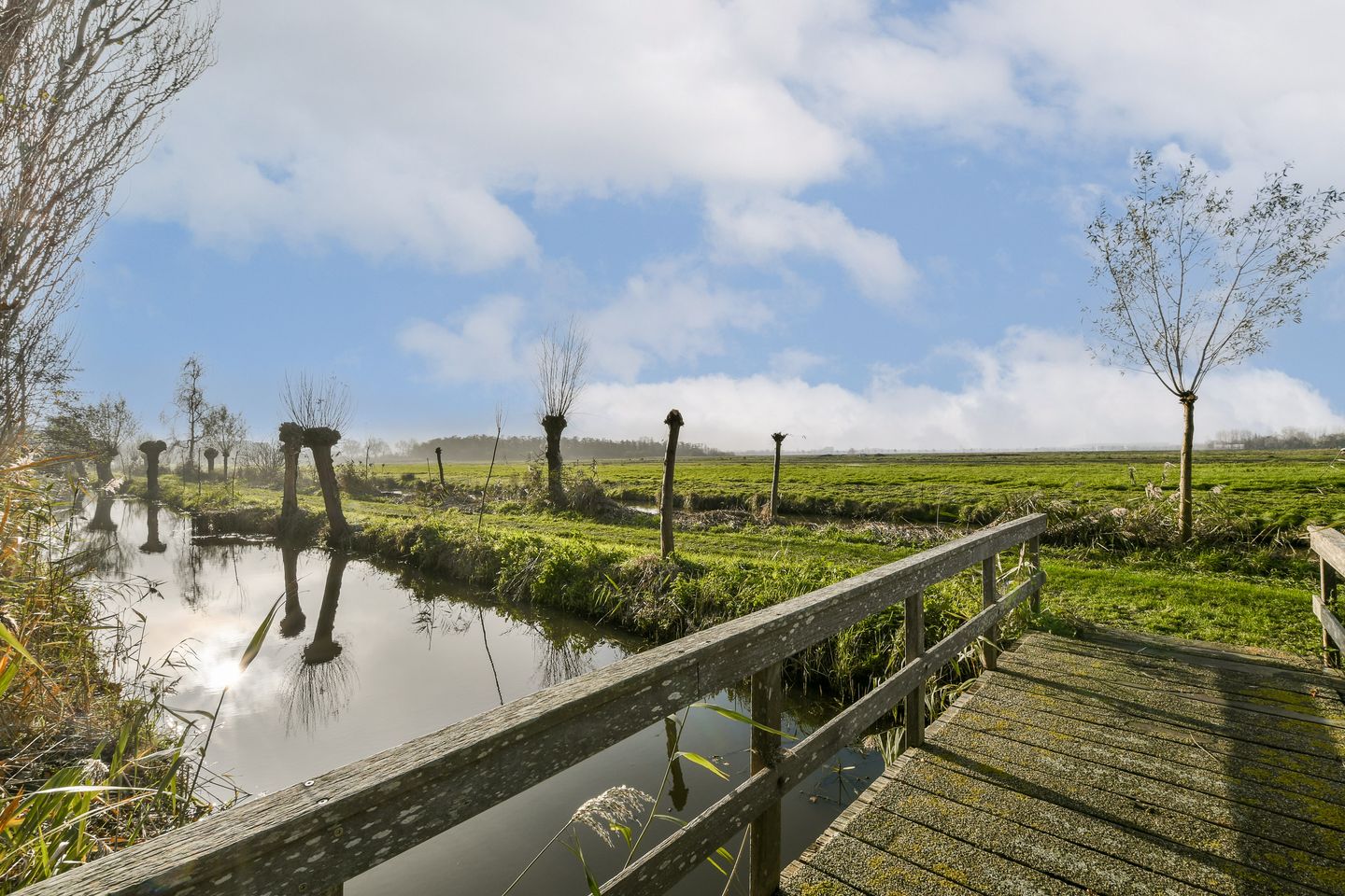 Foto 25 van Pijlstaartlaan 84