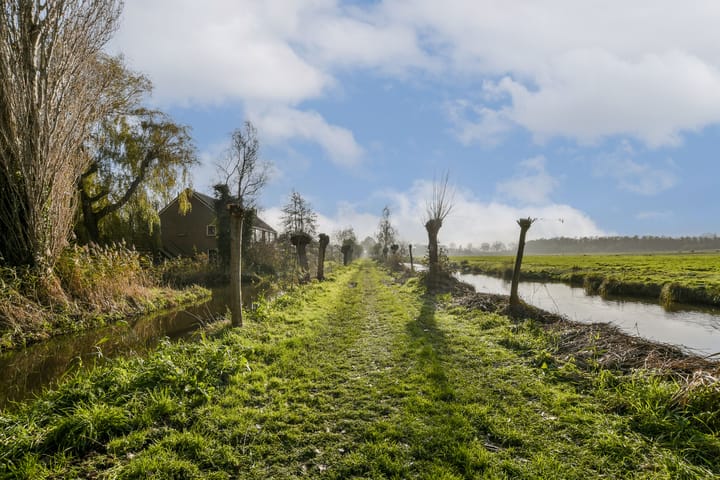 Foto 26 van Pijlstaartlaan 84