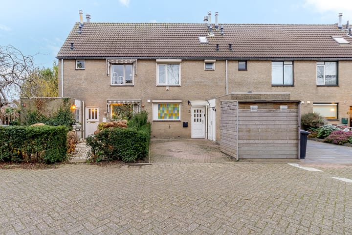 Weegbree 3 main image