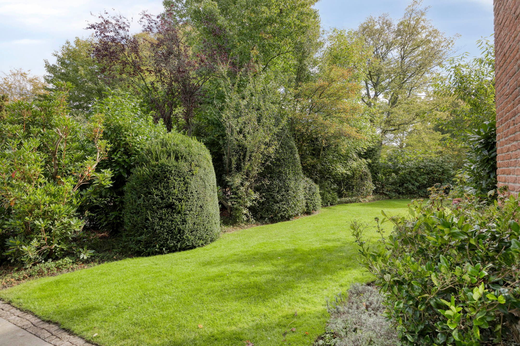 Photo 9 of Berkenlaan 1