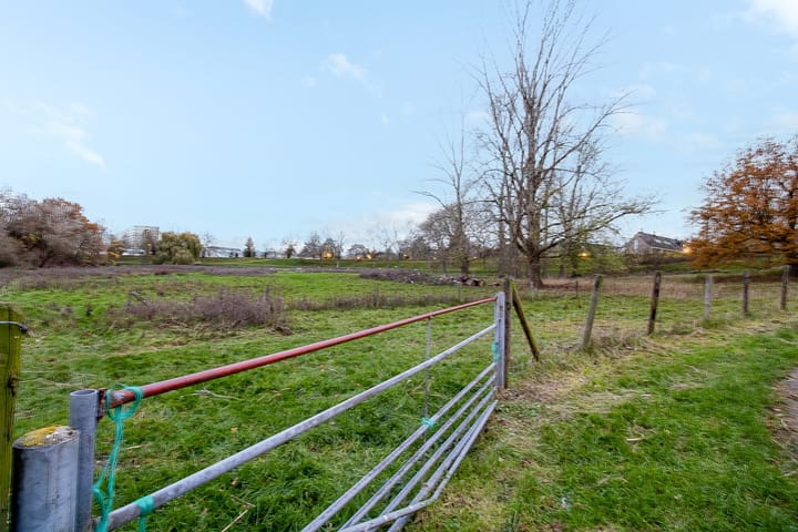 Foto 39 van Weegbree 3