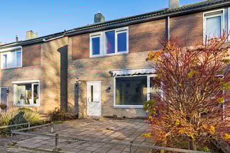 undefined main image