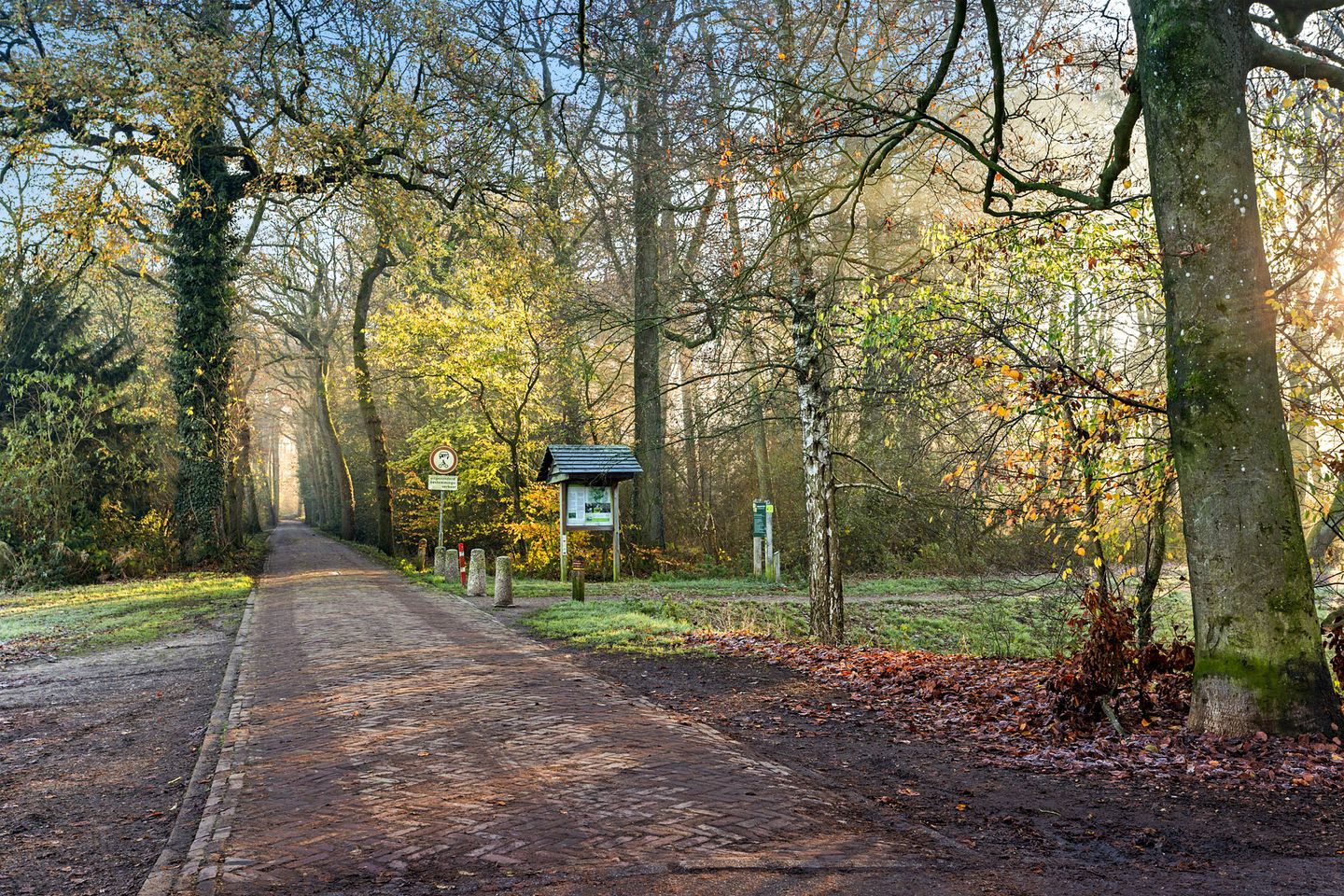 Photo 40 of Hazendijk 78