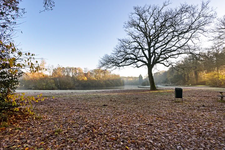 Foto 41 van Hazendijk 78