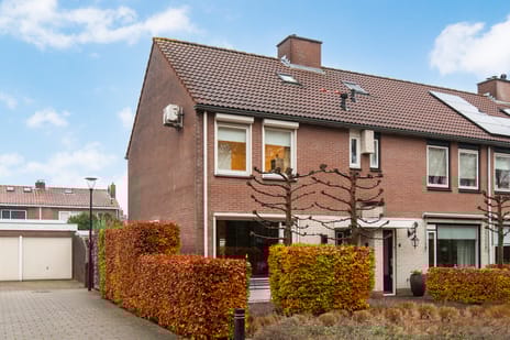 undefined main image