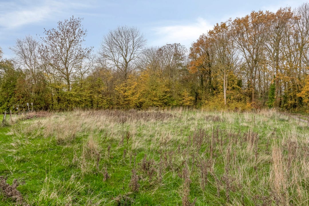Foto 47 van Wellandweg 6