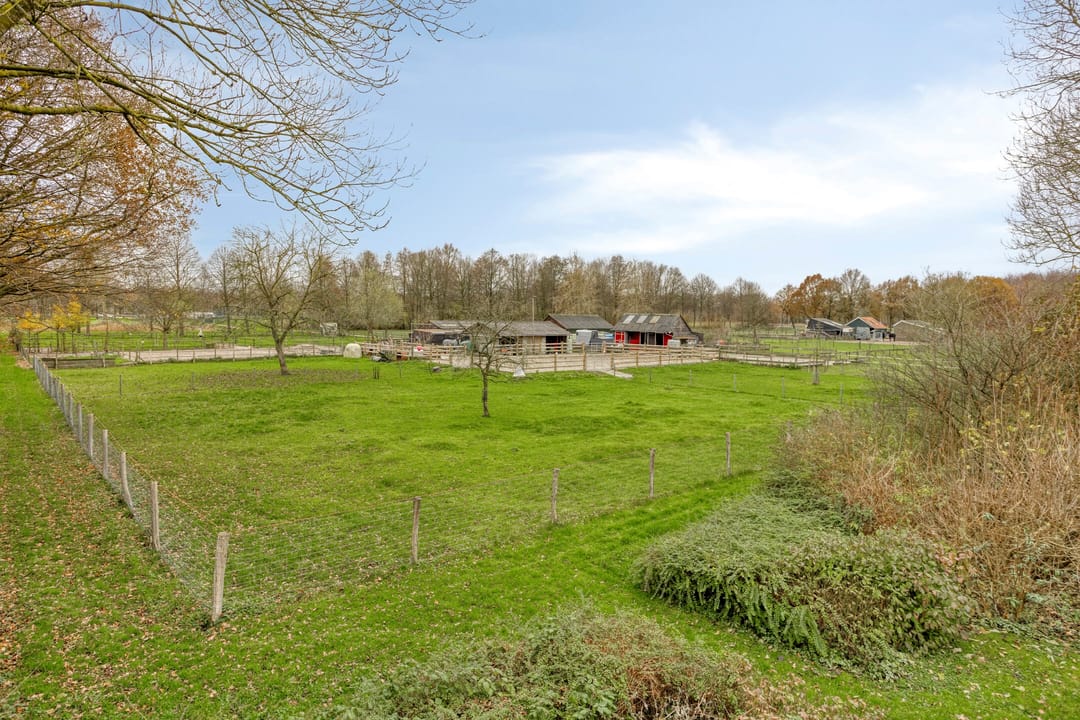 Photo 46 of Grote Haag 59