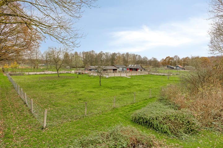 Photo 46 of Grote Haag 59