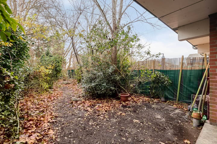 Photo 37 of Bastion 463