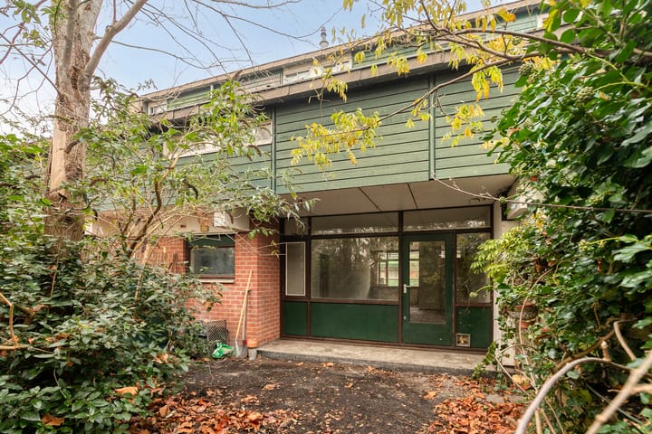 Photo 39 of Bastion 463