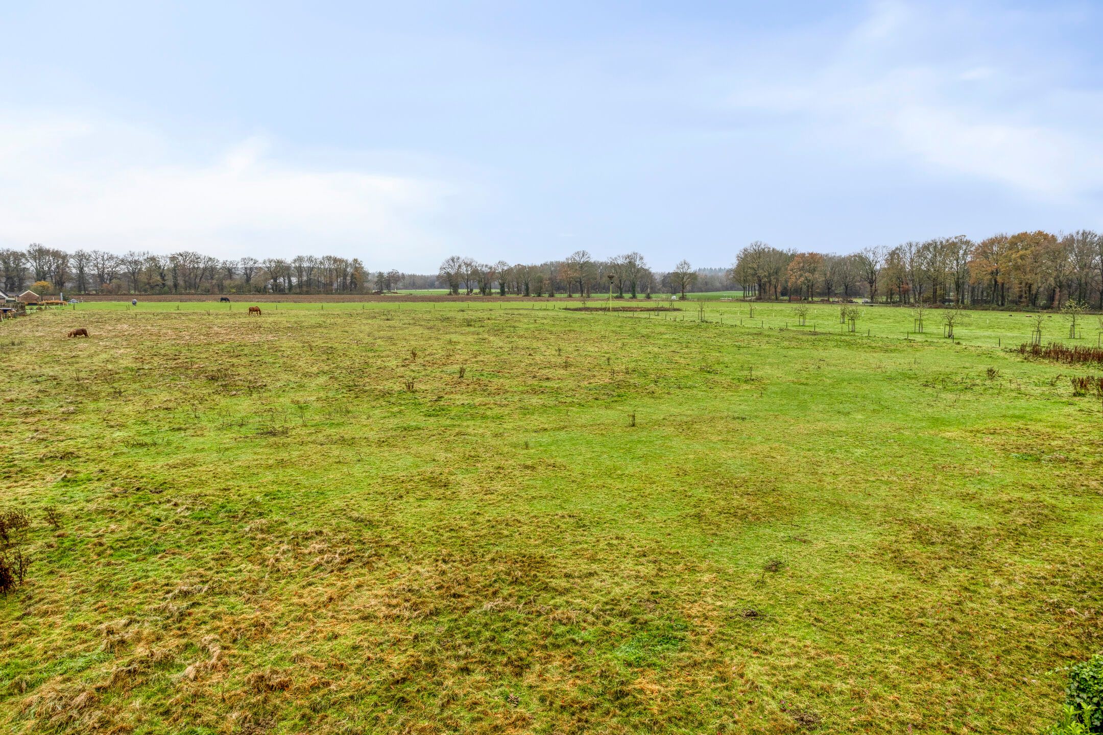 Photo 60 of Zuiderstraat 9