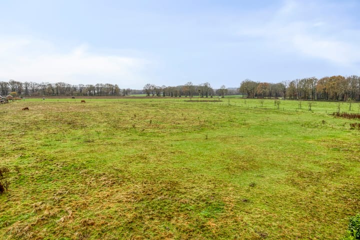 Photo 60 of Zuiderstraat 9