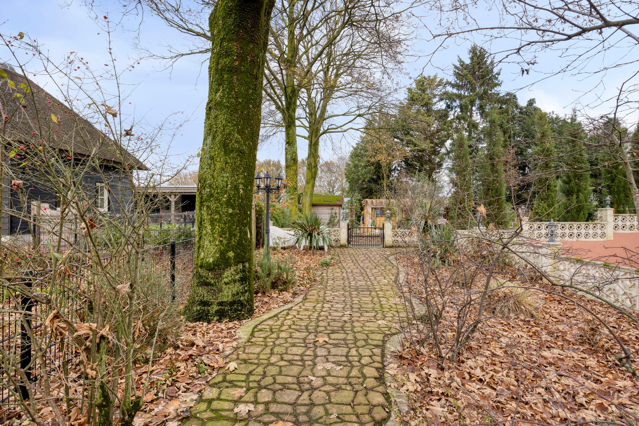 Foto 63 van Laageindsbroek 8