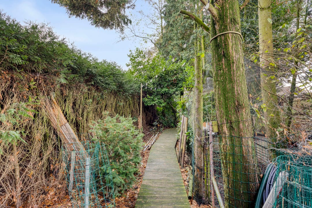 Foto 101 van Laageindsbroek 8