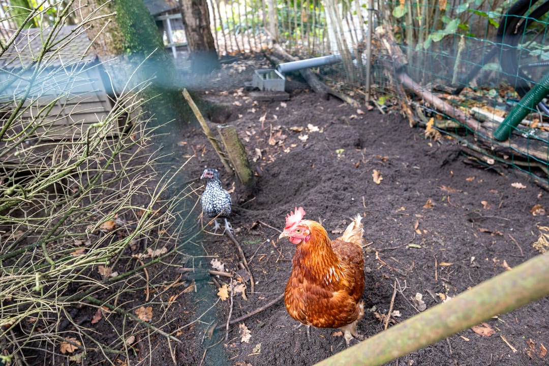 Foto 103 van Laageindsbroek 8