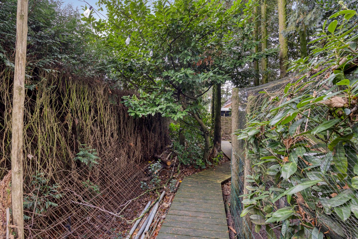 Foto 104 van Laageindsbroek 8