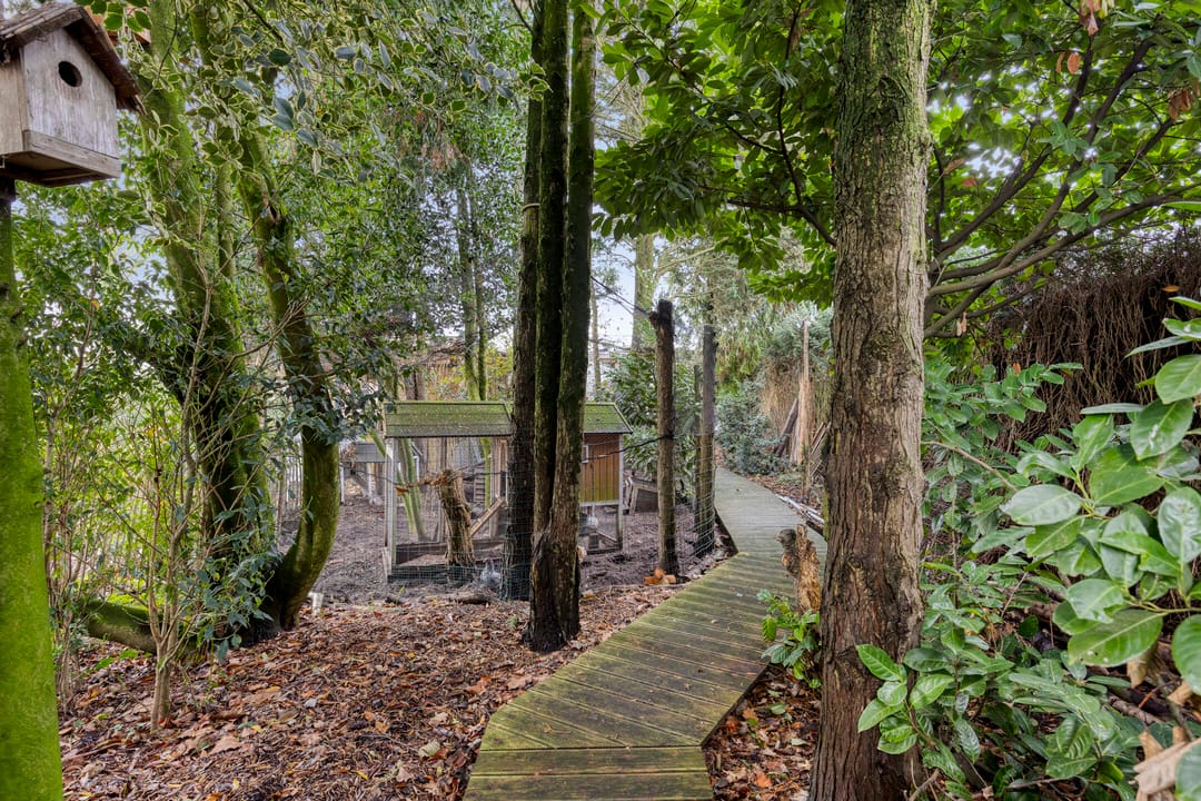 Foto 106 van Laageindsbroek 8