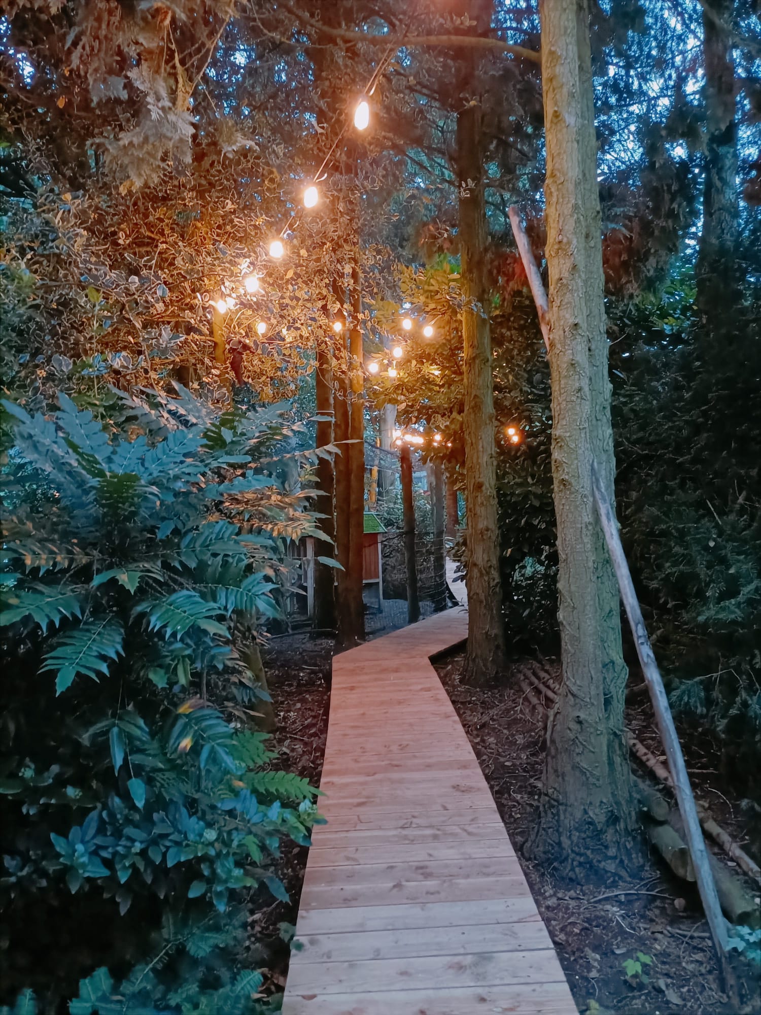 Foto 114 van Laageindsbroek 8